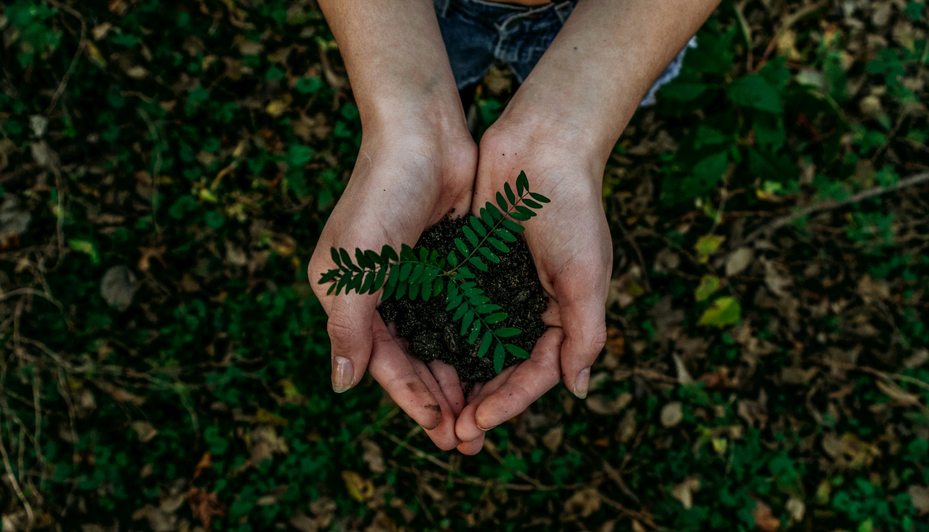 ISO 14001:2026 – Todo lo que necesitas saber sobre la próxima revisión